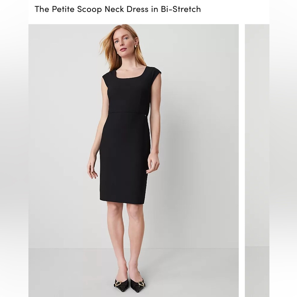 Ann Taylor Petite Scoop Neck Dress